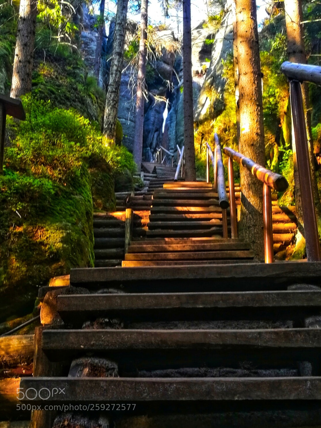 HUAWEI P9 sample photo. Stairs to .... photography
