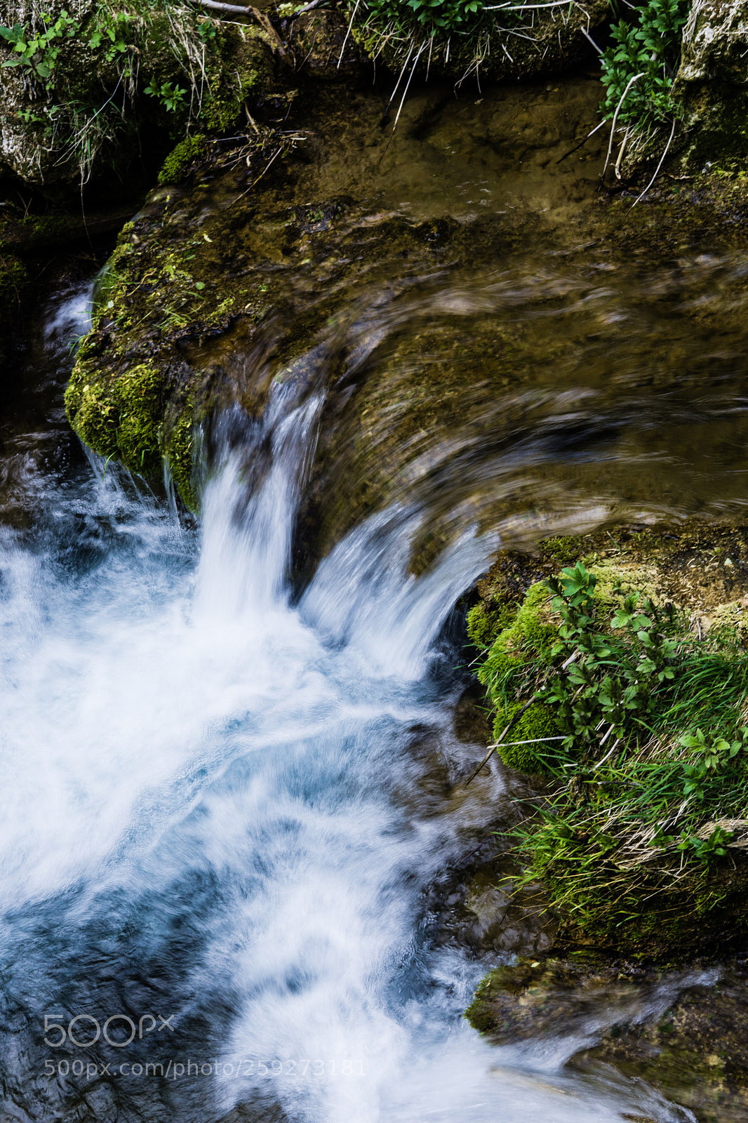 Sony a6000 sample photo. Spring photography
