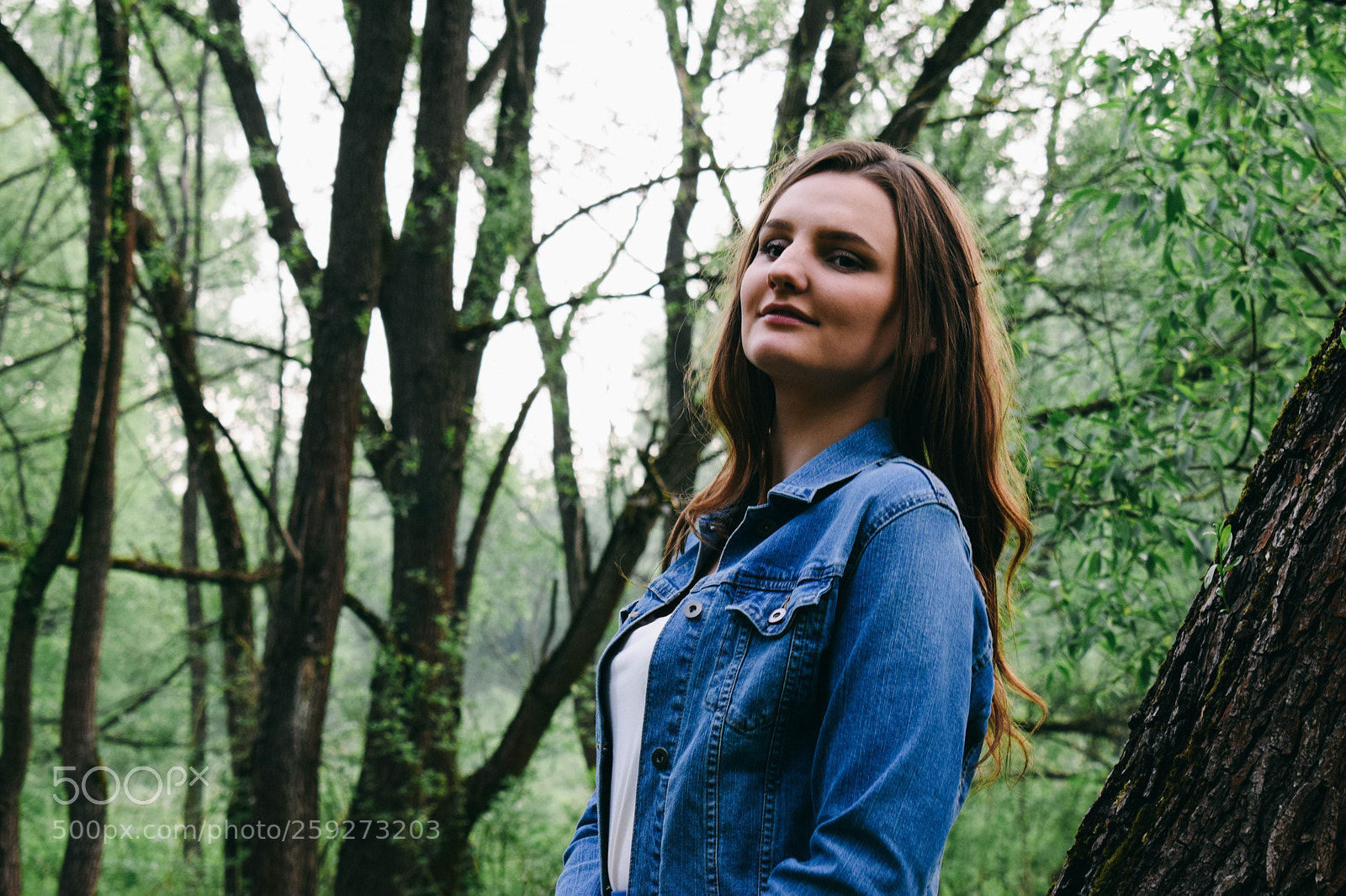 Nikon D5300 sample photo. Untitled photography