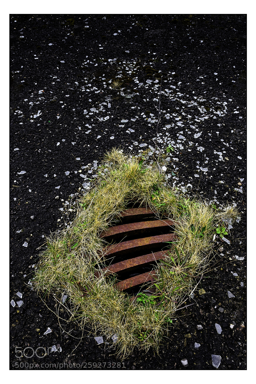 Fujifilm X-T2 sample photo. Grass and glass photography