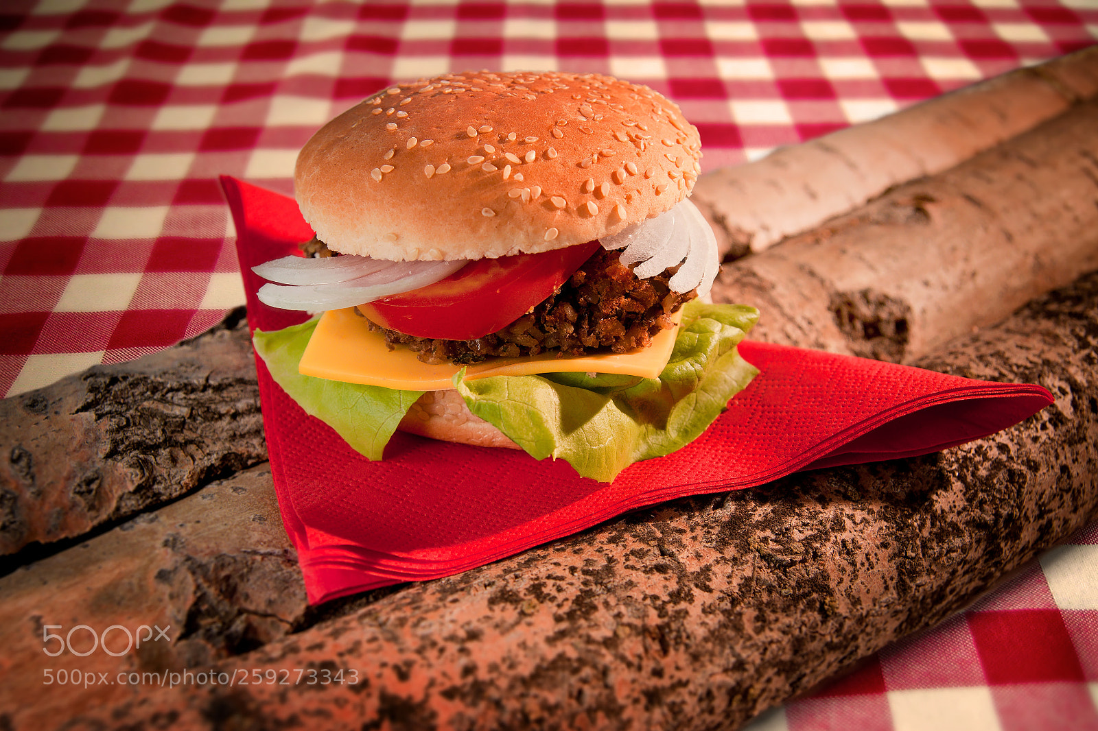 Canon EOS 50D sample photo. Vegetarian burger sitting on photography