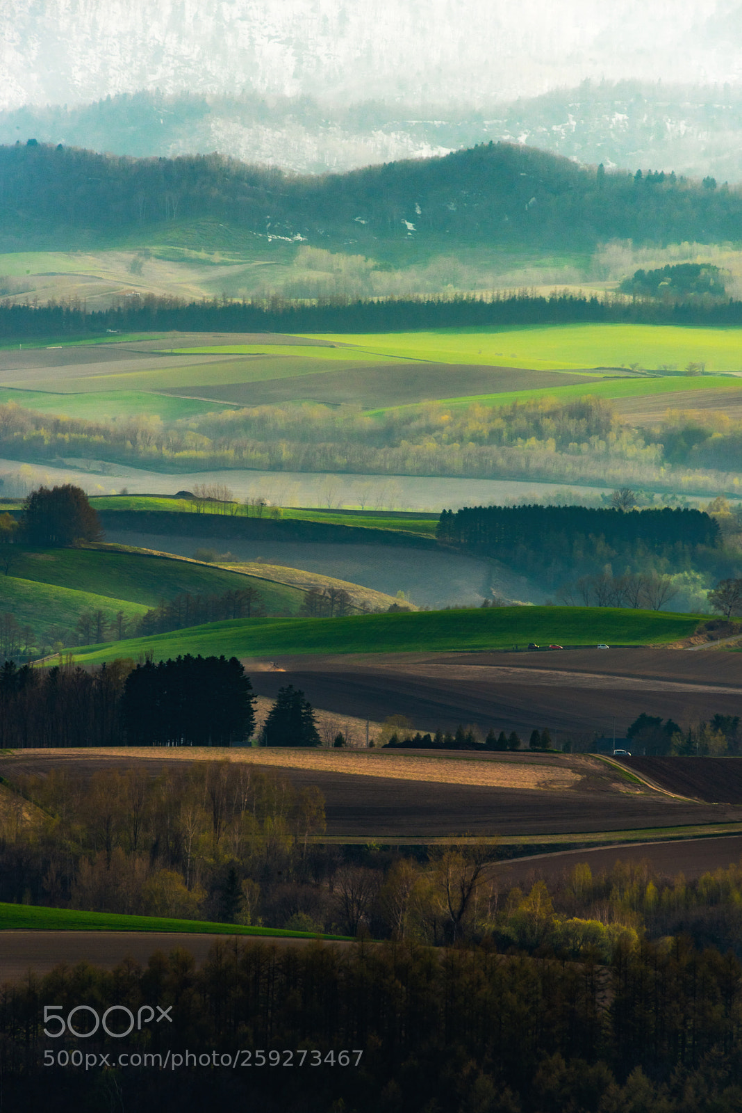 Nikon D750 sample photo. The view from the photography