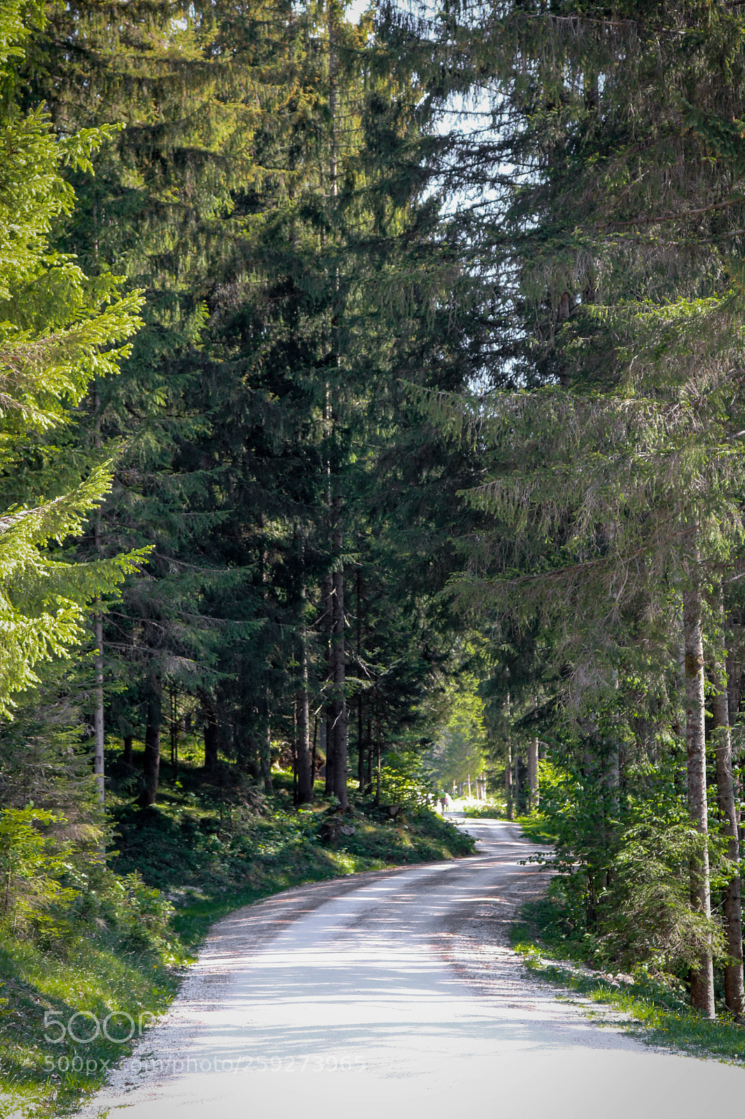 Canon EOS 750D (EOS Rebel T6i / EOS Kiss X8i) sample photo. Am weg zur mordaualm... photography