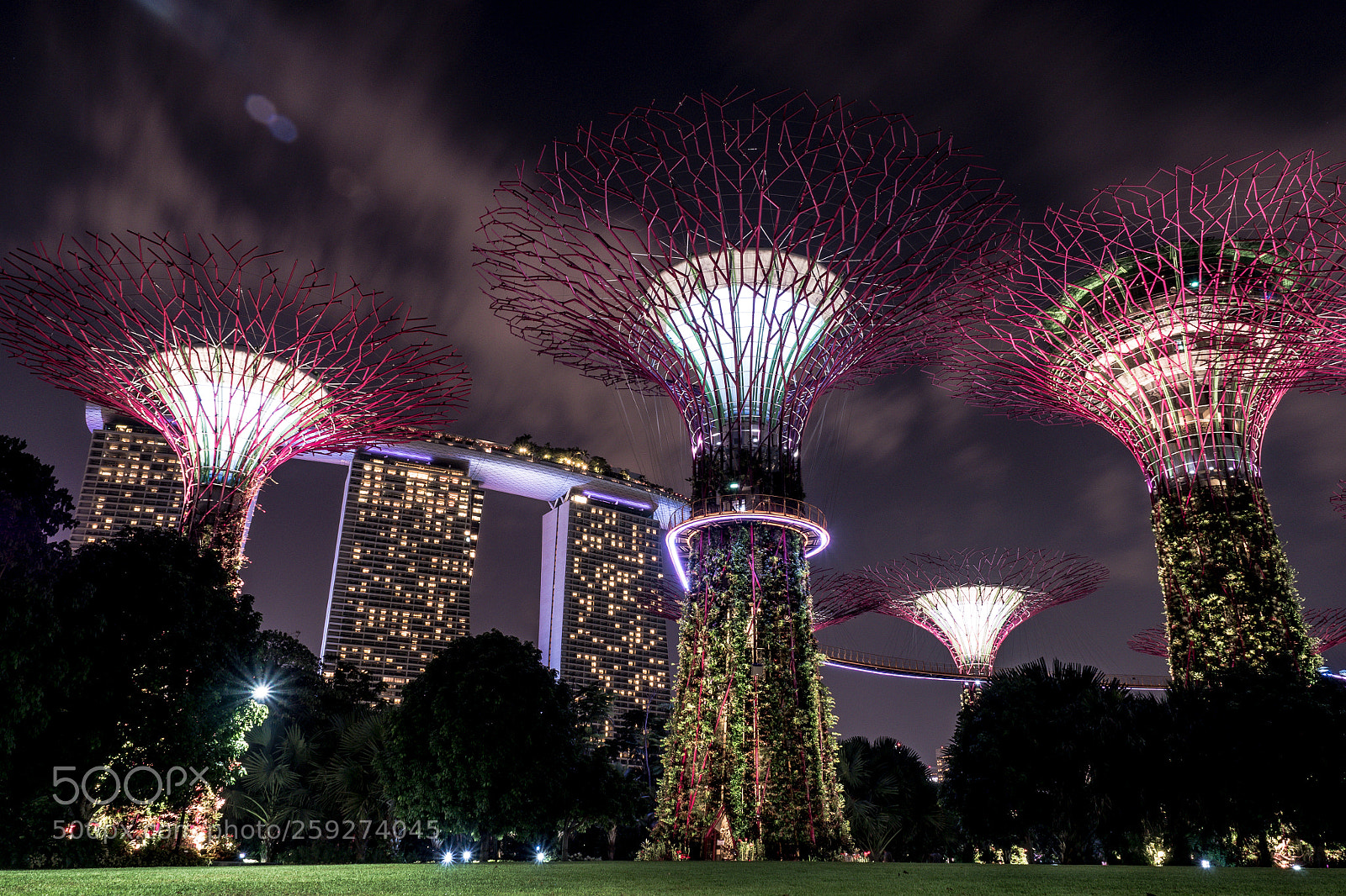 Olympus OM-D E-M5 II sample photo. Gardens by the bay photography