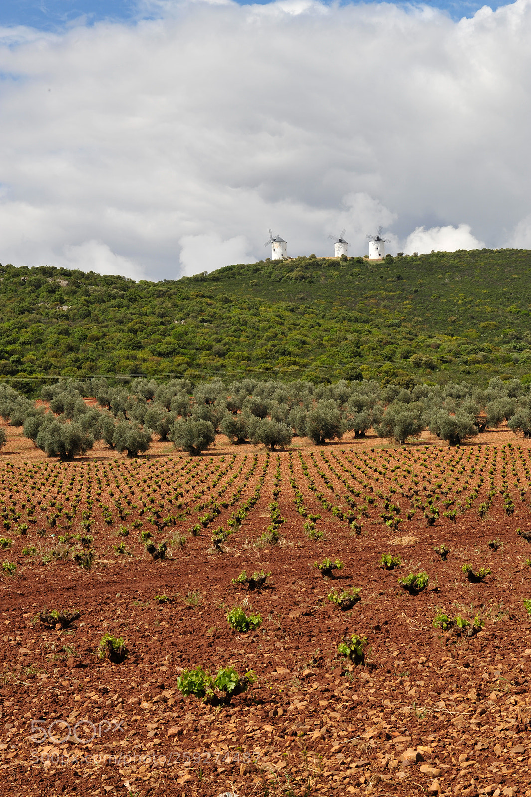 Nikon D3 sample photo. Castilla la mancha photography
