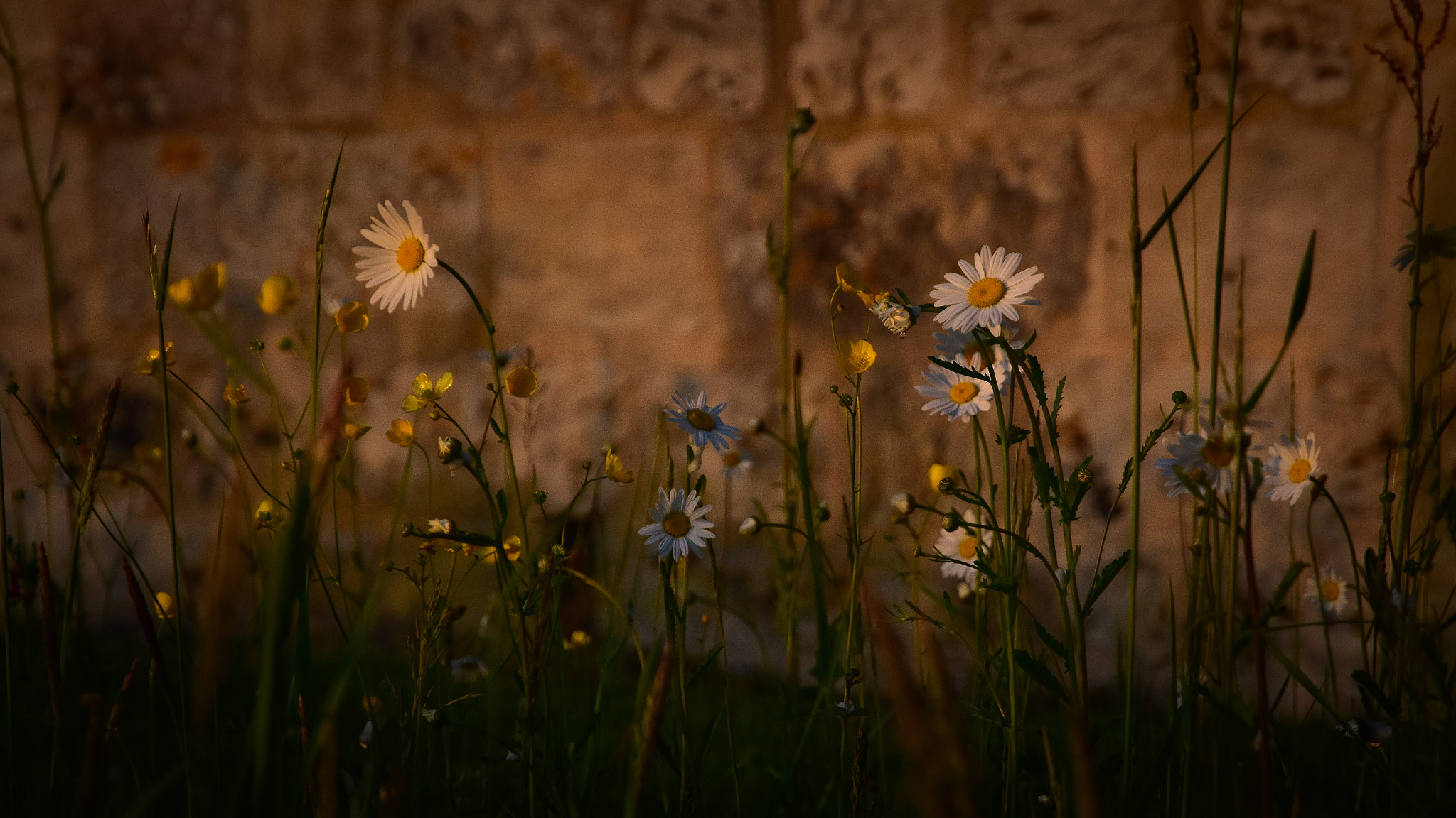 Nikon D7200 sample photo. Late evening photography