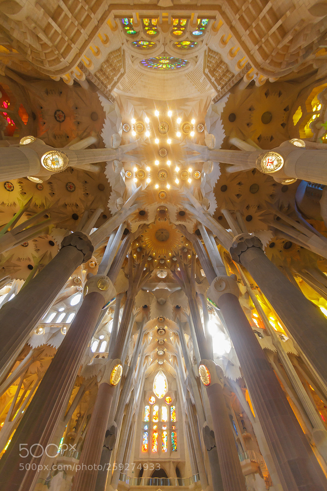 Canon EOS 7D sample photo. Vault of sagrada familia photography
