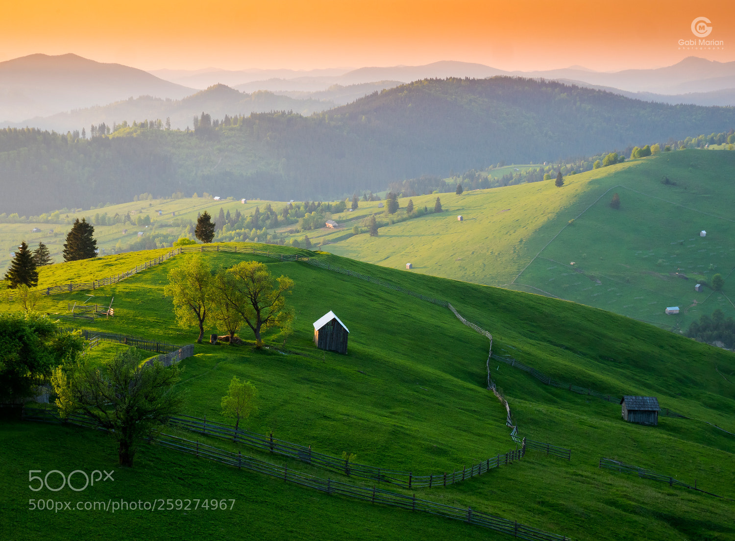 Panasonic Lumix DMC-GX85 (Lumix DMC-GX80 / Lumix DMC-GX7 Mark II) sample photo. Spring pastel in bucovina photography