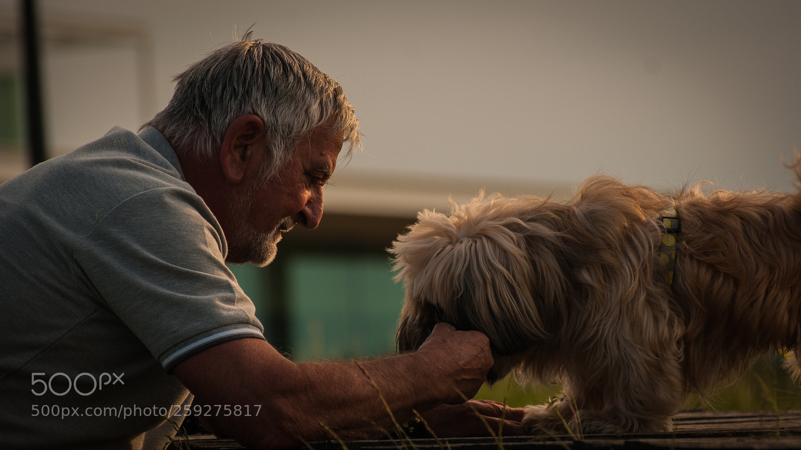 Sony Alpha DSLR-A230 sample photo. Loving pets photography