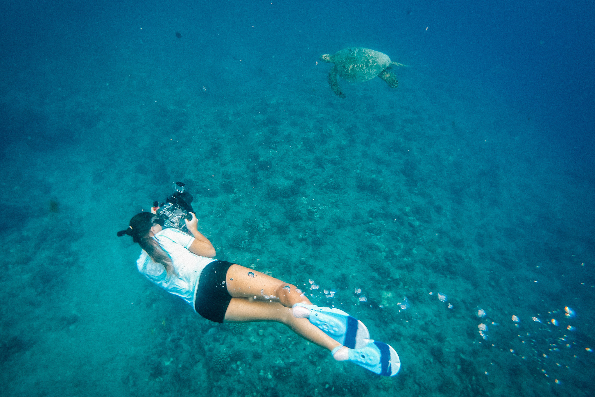 GoPro Hero6 Black sample photo. Snorkel off makaha photography