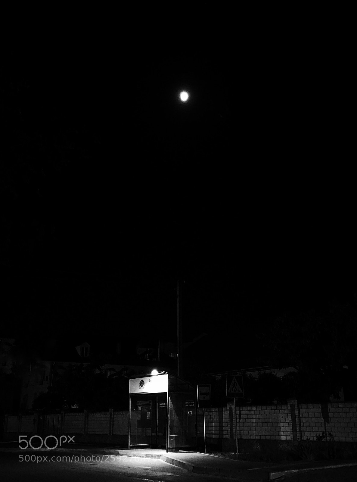 Apple iPhone 8 sample photo. Untitled photography