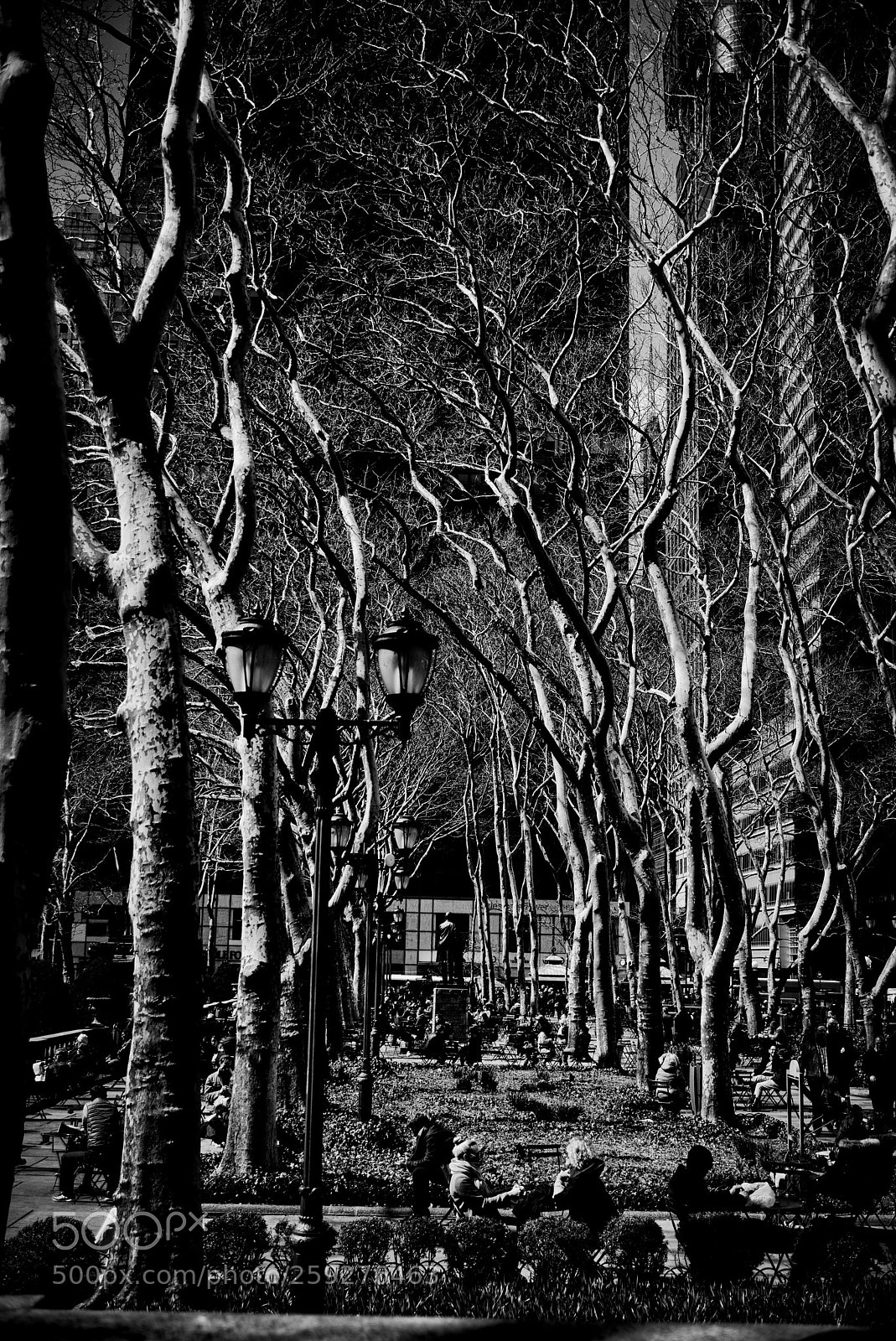 Nikon D810 sample photo. Bryant park nyc photography