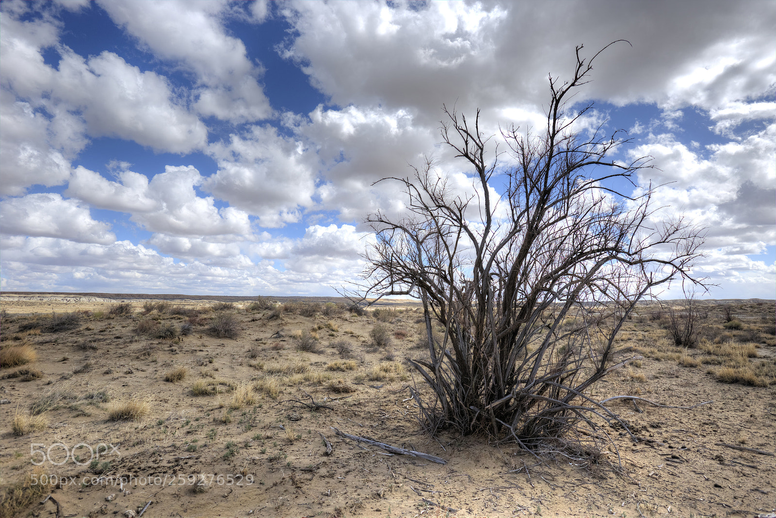 Canon EOS 6D sample photo. Striken photography