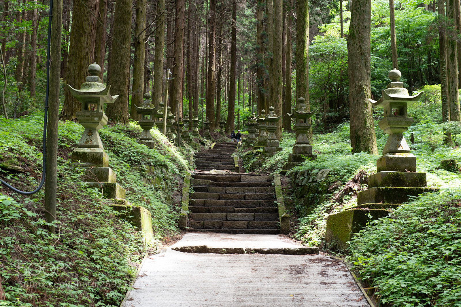 Sony a6300 sample photo. Pathway to the shrine photography