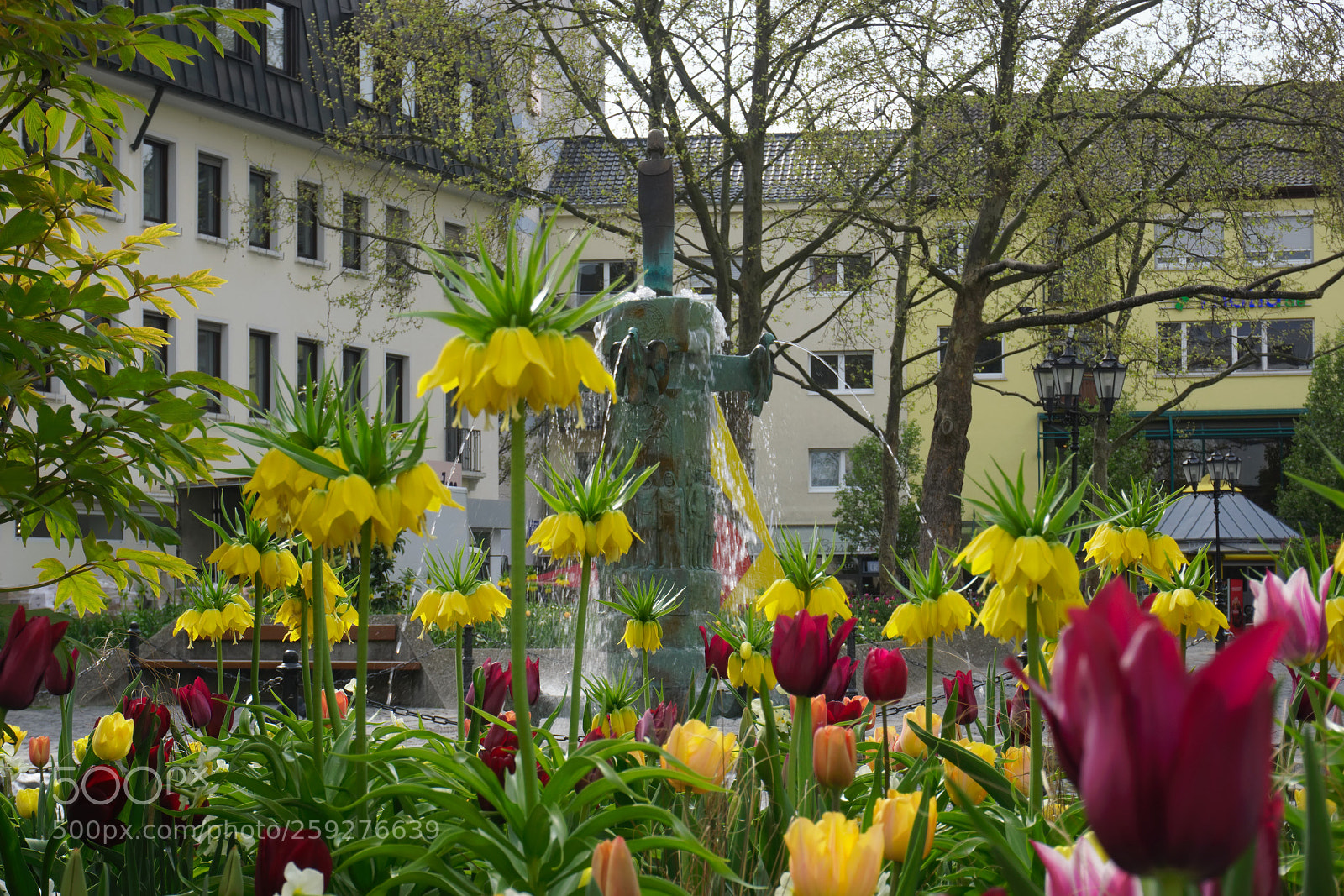 Sony a6000 sample photo. Frühling photography