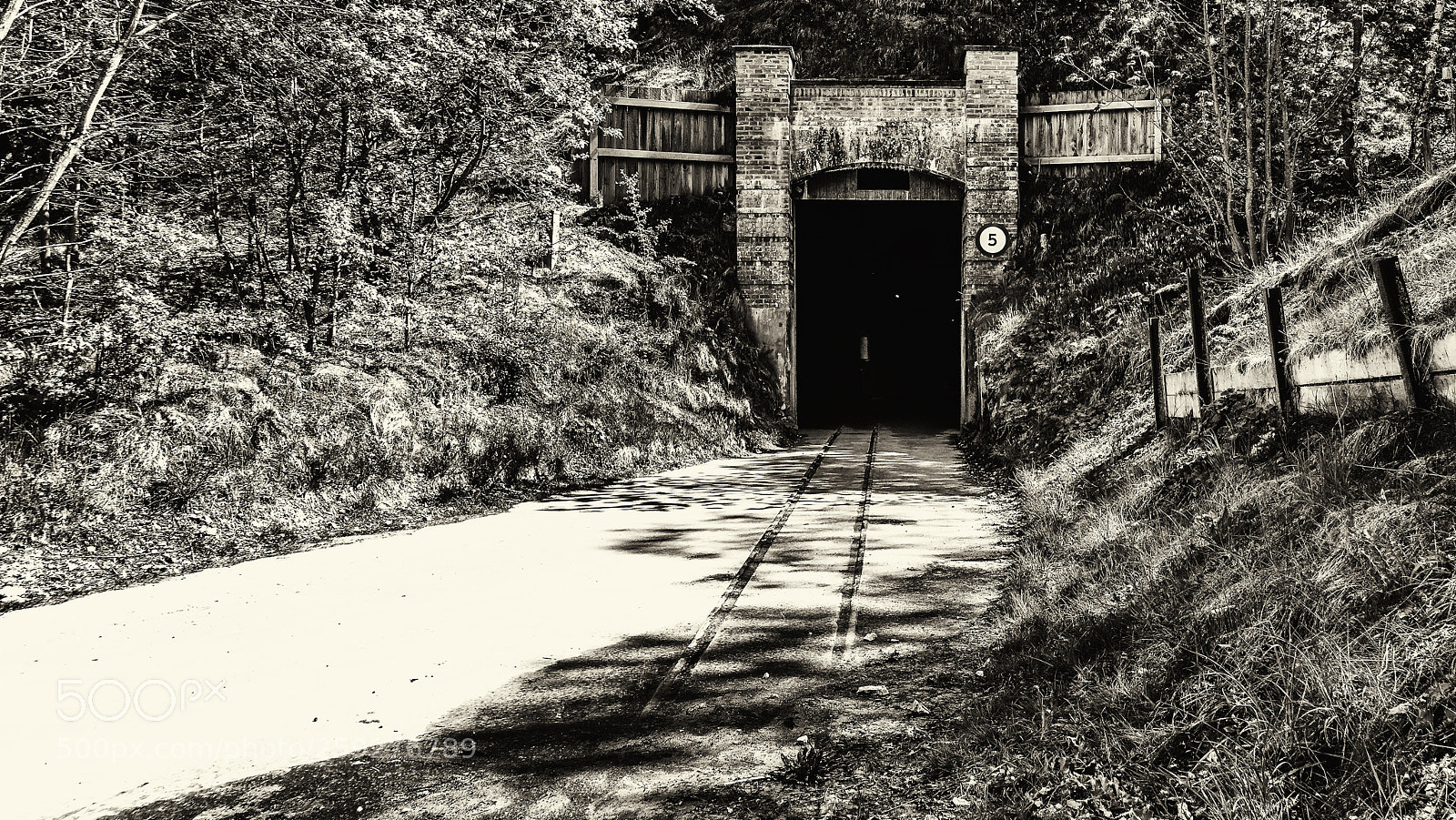 Sony ILCA-77M2 sample photo. Mine entrance photography