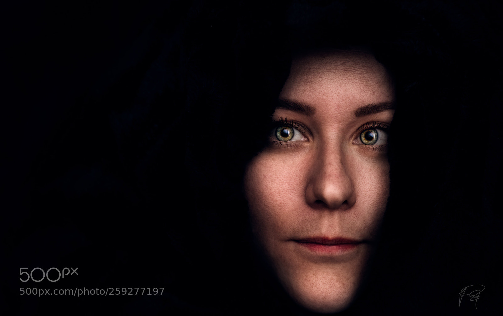 Nikon D810 sample photo. Untitled photography