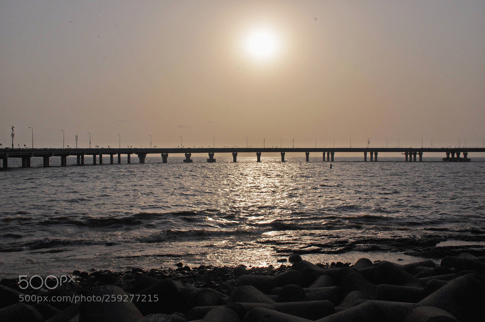 Nikon D90 sample photo. Sunset or netflix  photography