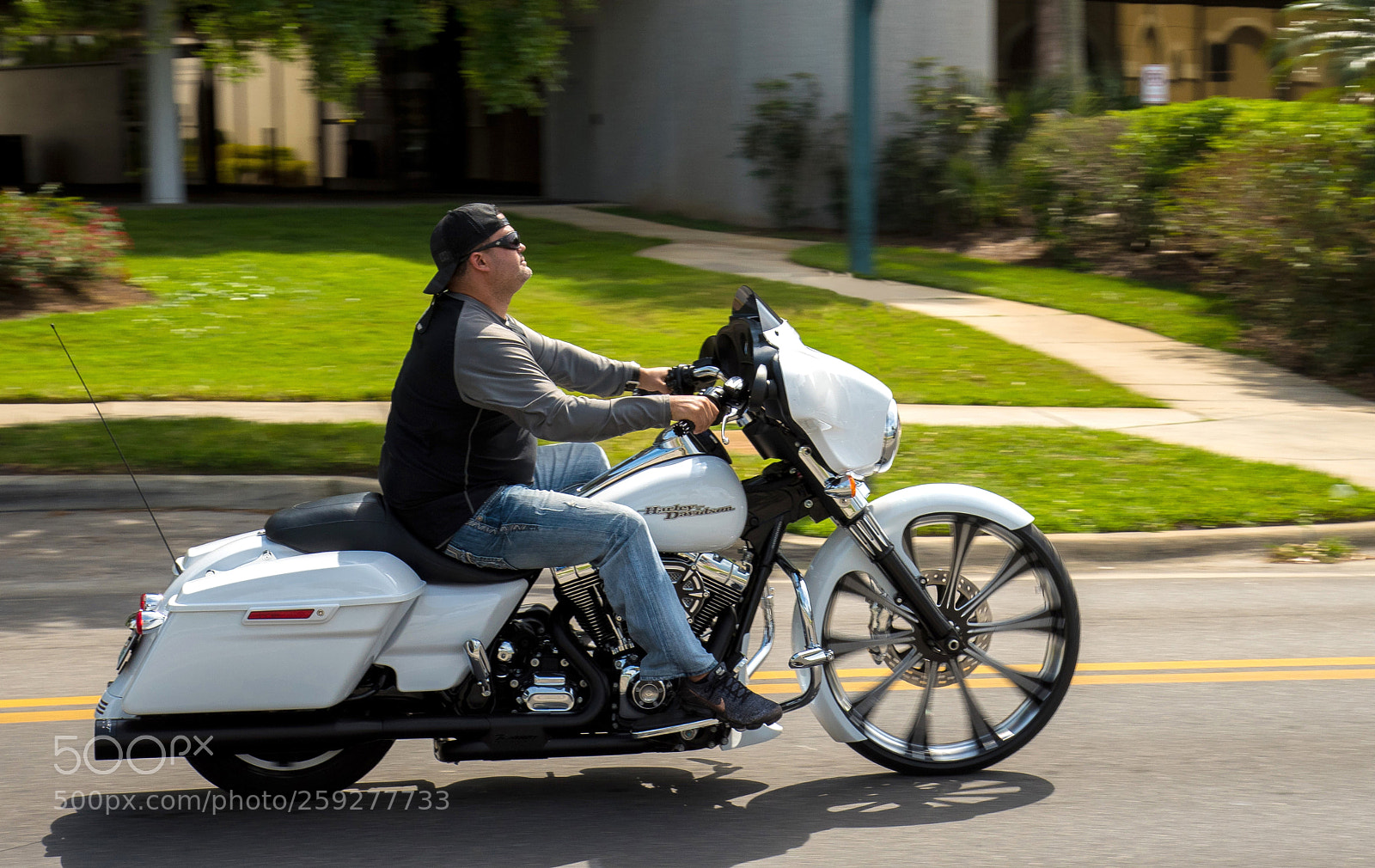 Nikon D810 sample photo. Untitled photography