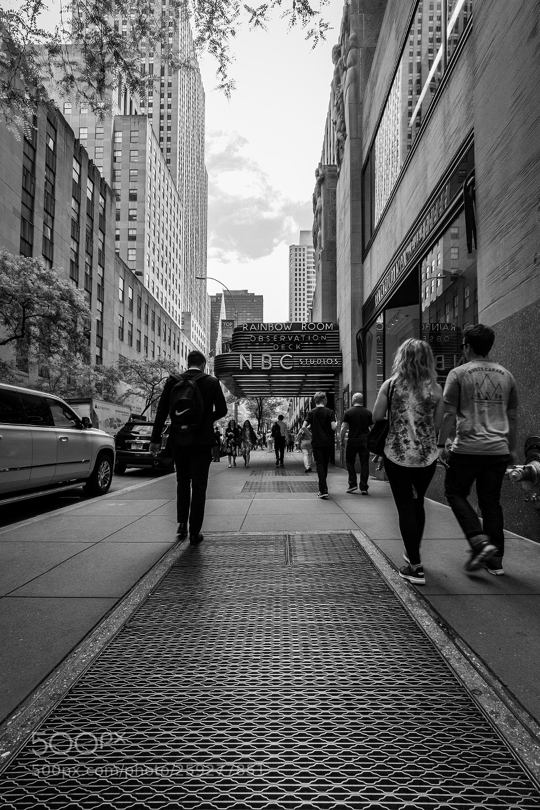 Nikon D500 sample photo. Untitled photography