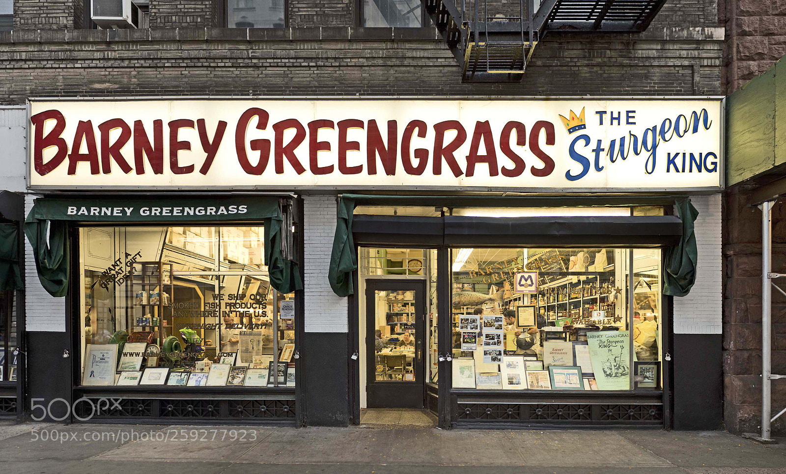 Nikon D810 sample photo. Barney greengrass photography
