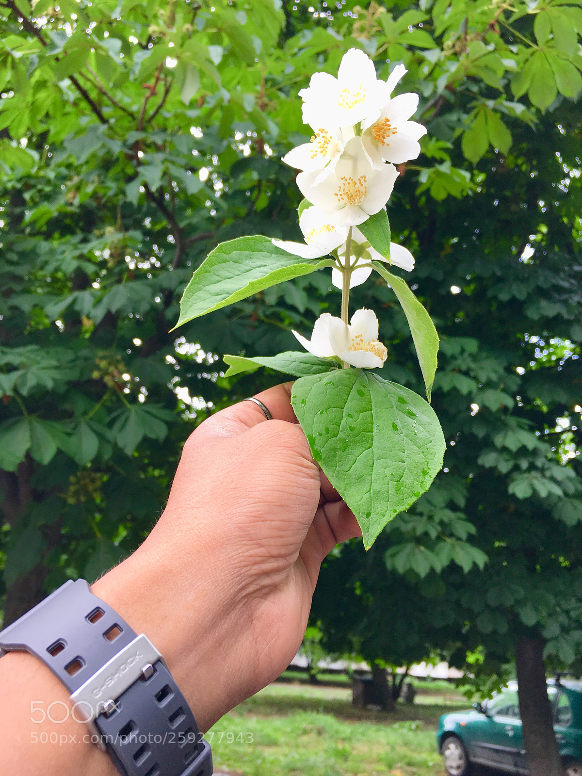 Apple iPhone 6s sample photo. Untitled photography