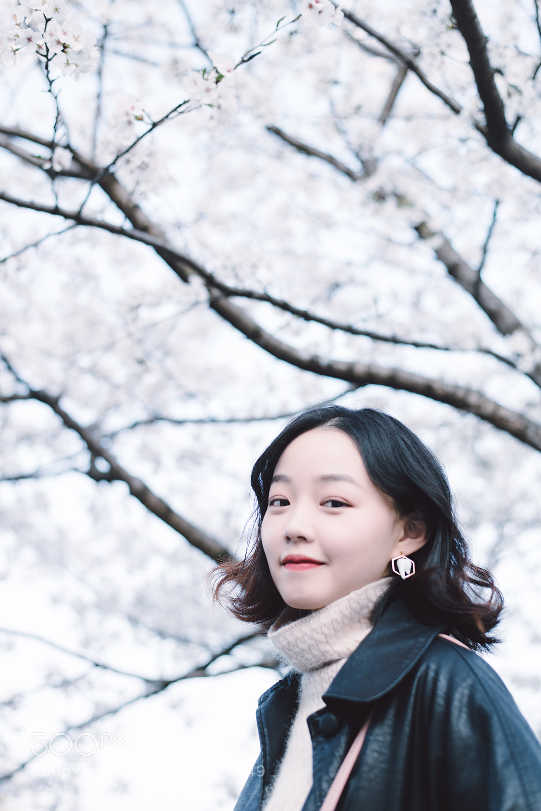 Nikon D800E sample photo. Under the cherry tree~ photography
