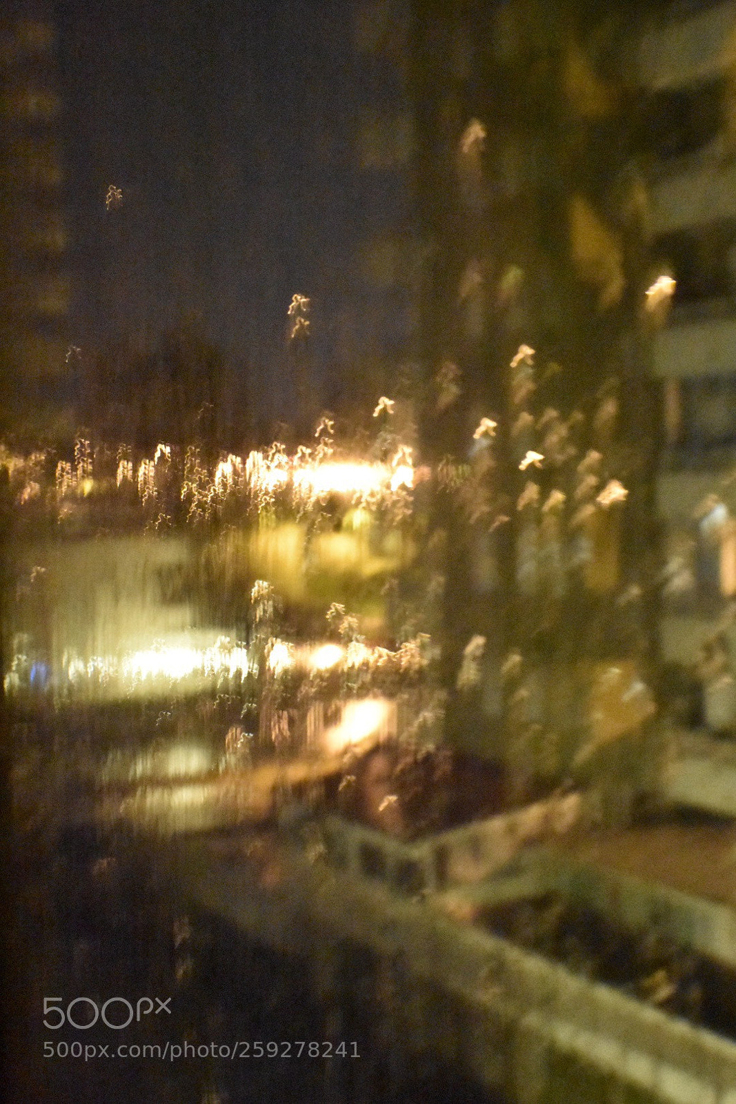 Nikon D7200 sample photo. Rain photography