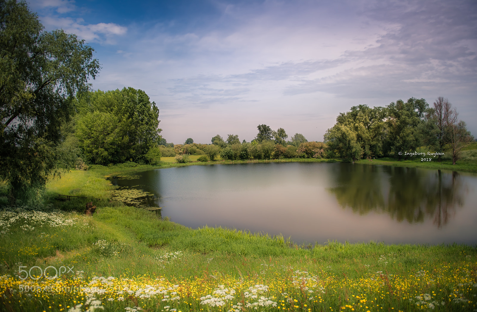 Nikon D800 sample photo. Party at the pond photography