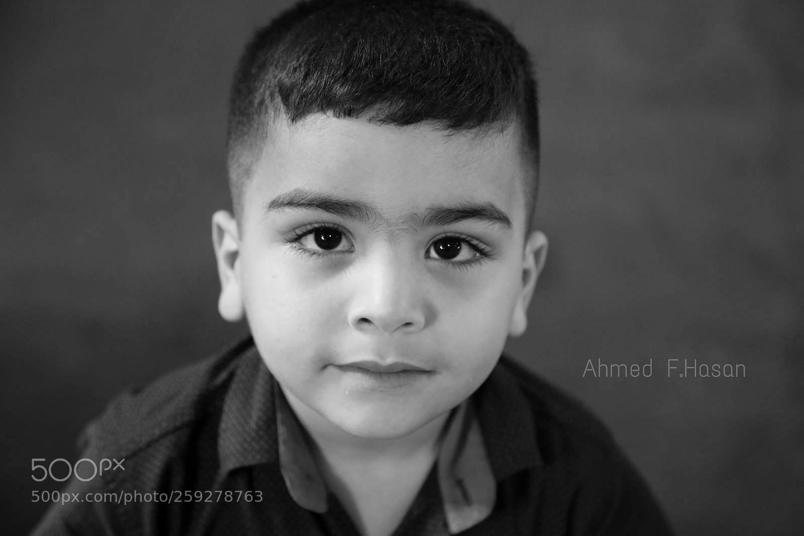 Canon EOS 5D Mark IV sample photo. View photography