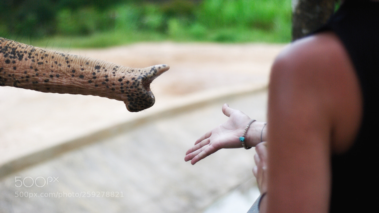 Nikon D80 sample photo. Friendship  photography