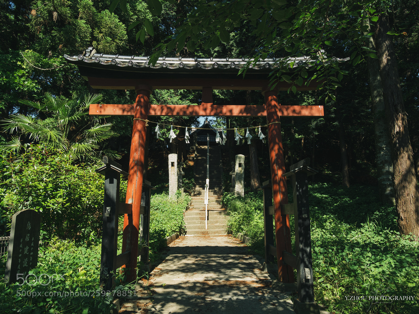Olympus OM-D E-M1 Mark II sample photo. Shrine photography