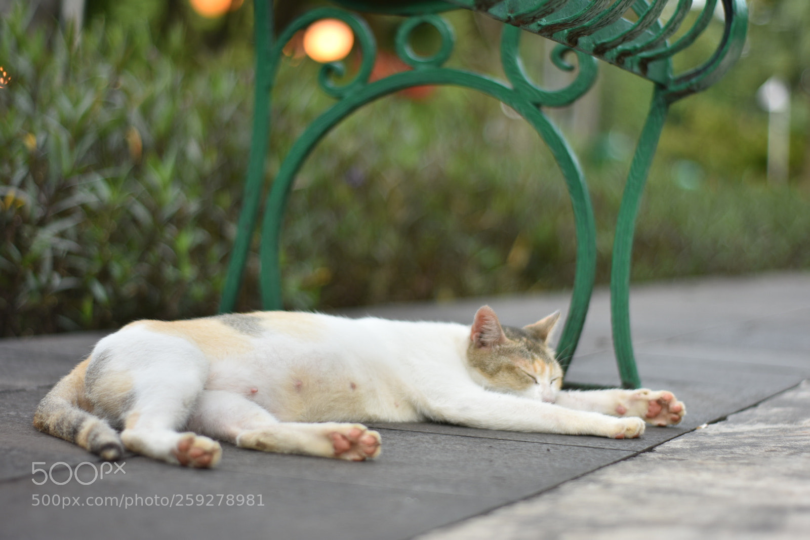 Nikon D3400 sample photo. ❲what a long day❳ photography