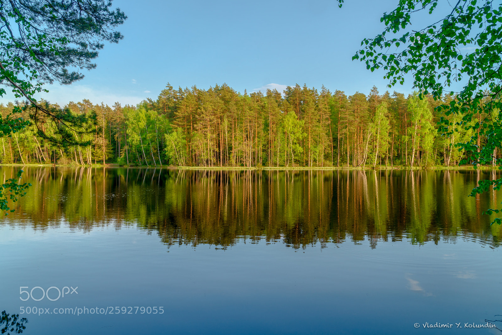 Sony a6300 sample photo. Sunset over a forest photography