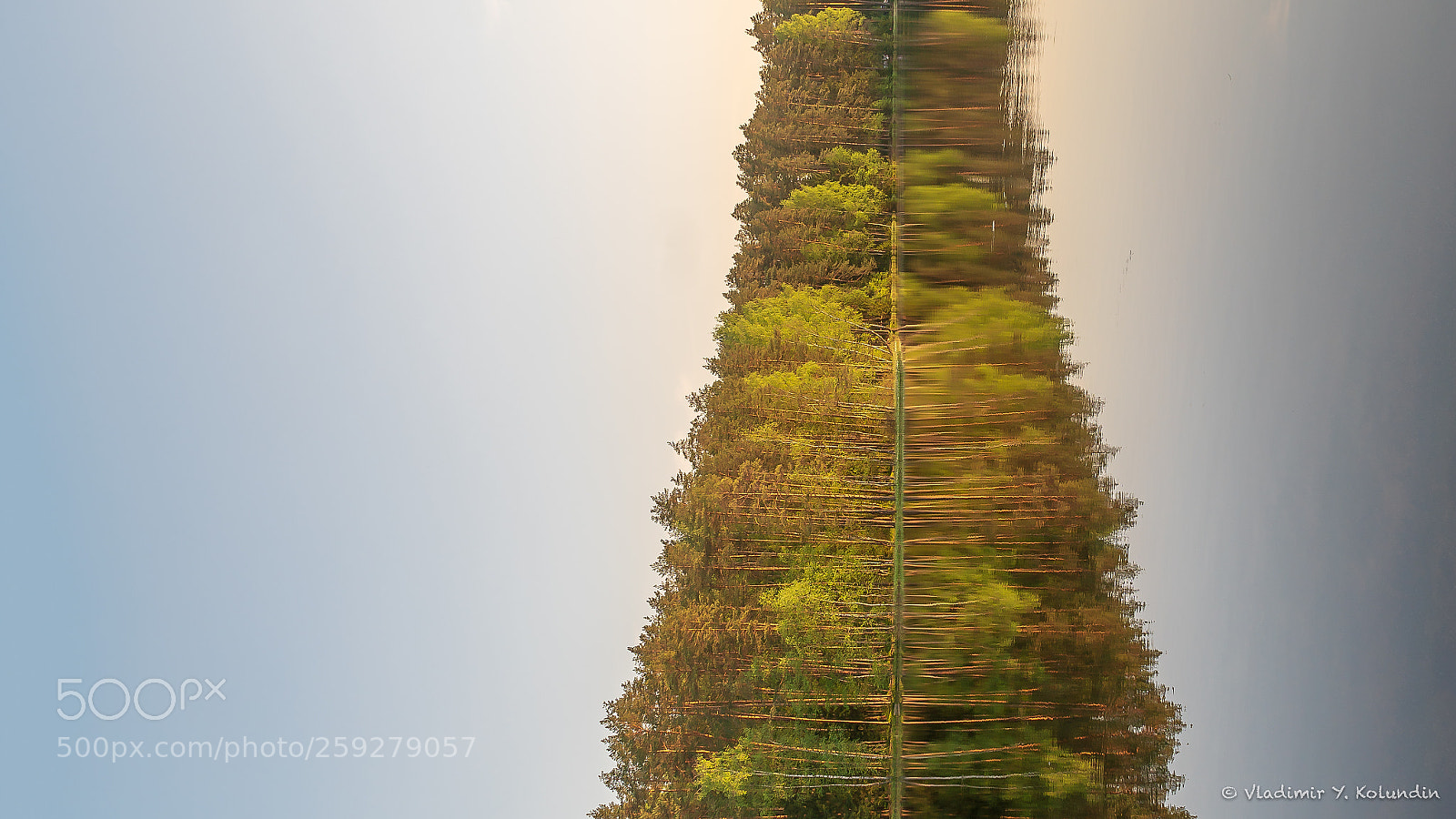 Sony a6300 sample photo. Conceptual tree photography