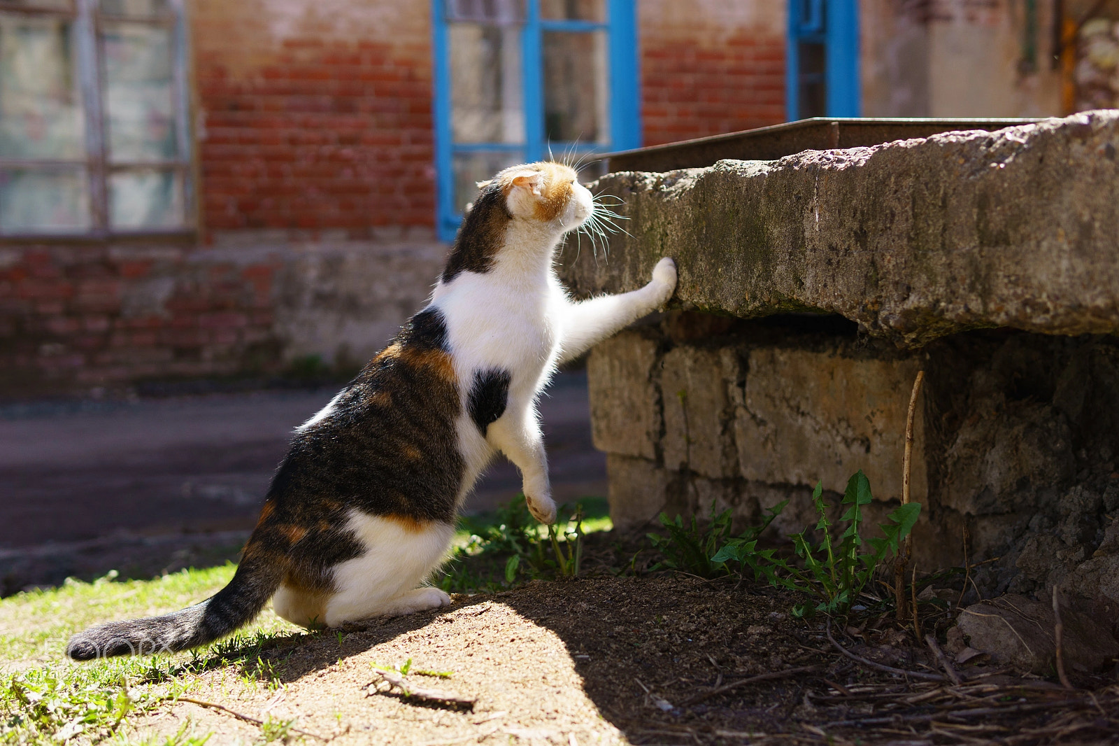 Sony a6000 sample photo. Hunter x dove photography