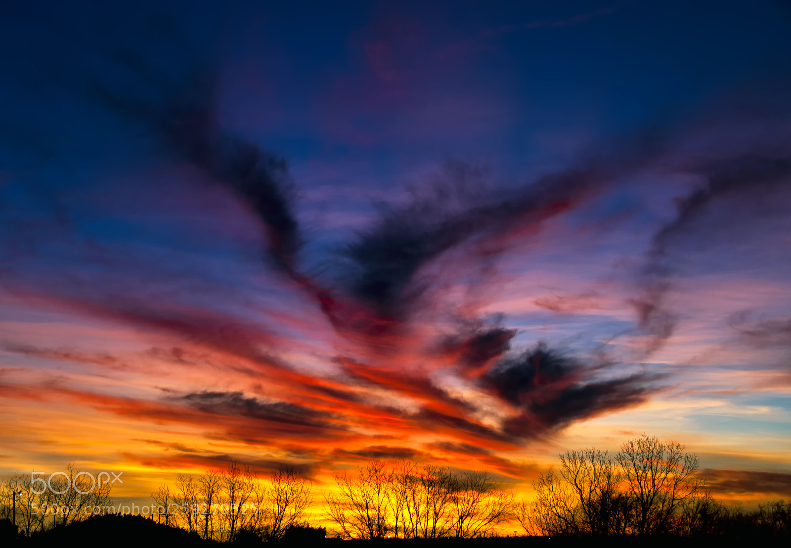 Nikon D300 sample photo. Winter sunset 1-19-12 photography