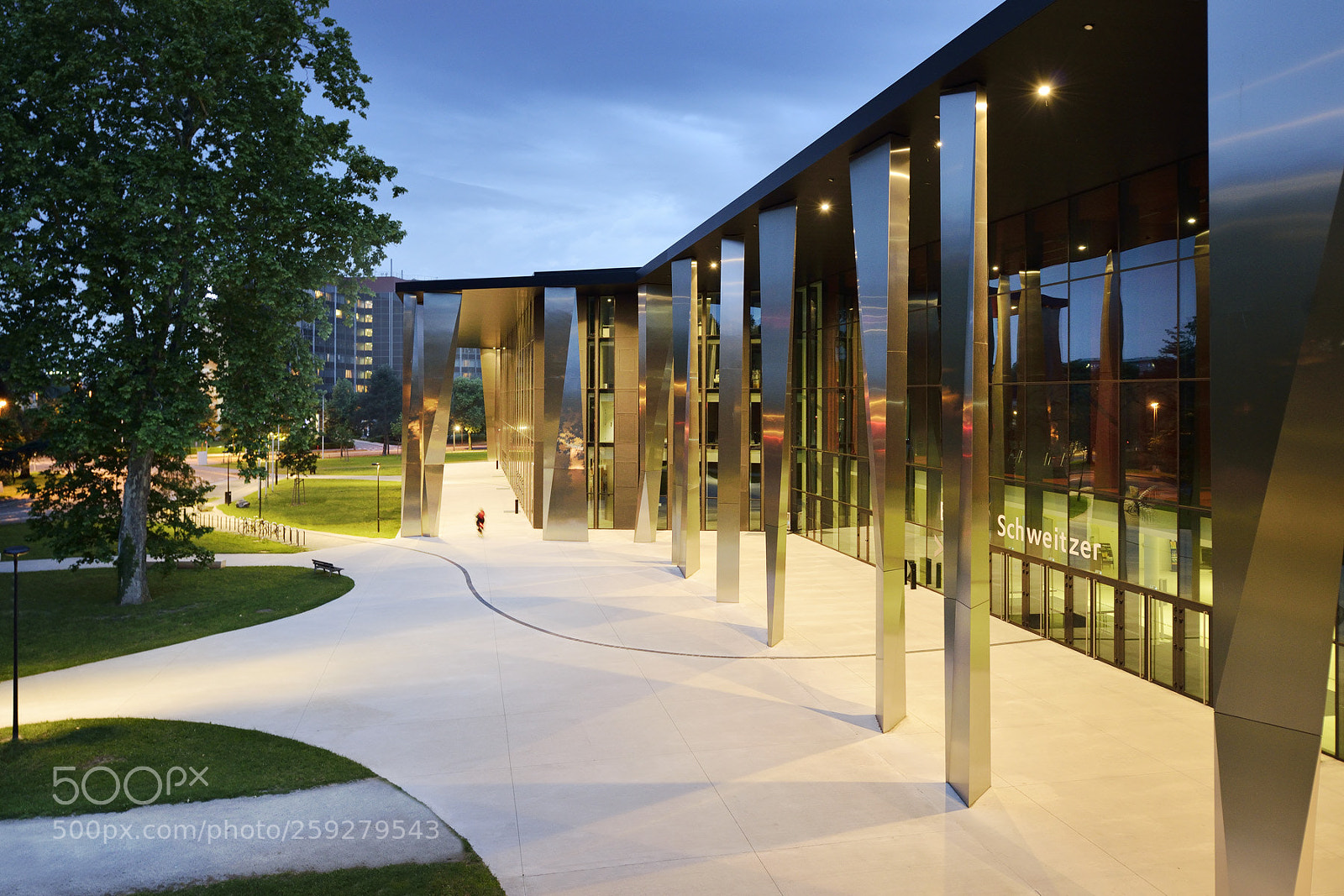 Nikon D800 sample photo. Pmc strasbourg #6 photography