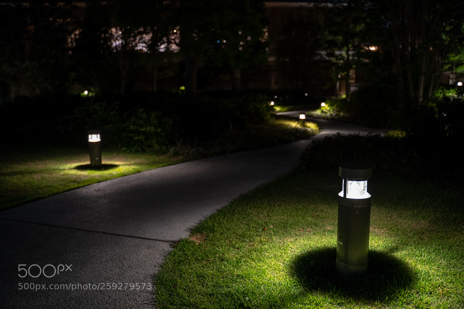 Sony a7 III sample photo. Edit photography