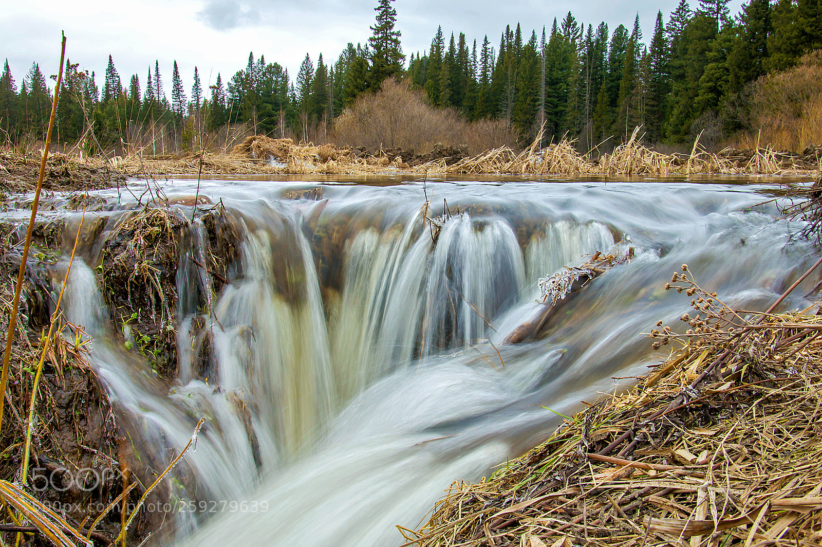 Nikon D3200 sample photo. Весенний водопад photography