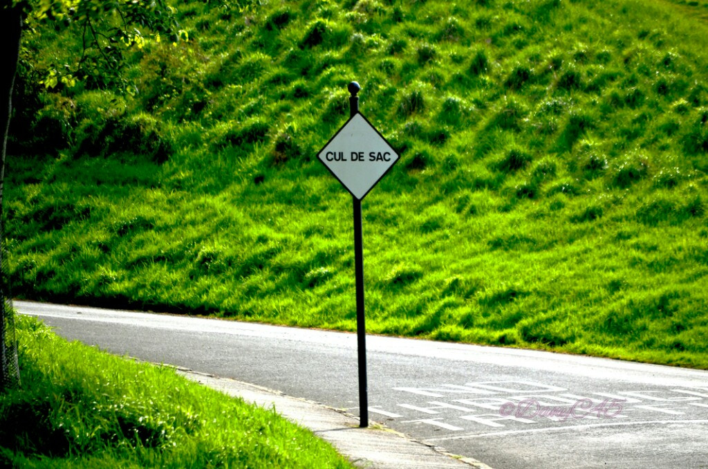 Nikon D5100 sample photo. 8 dublin photography