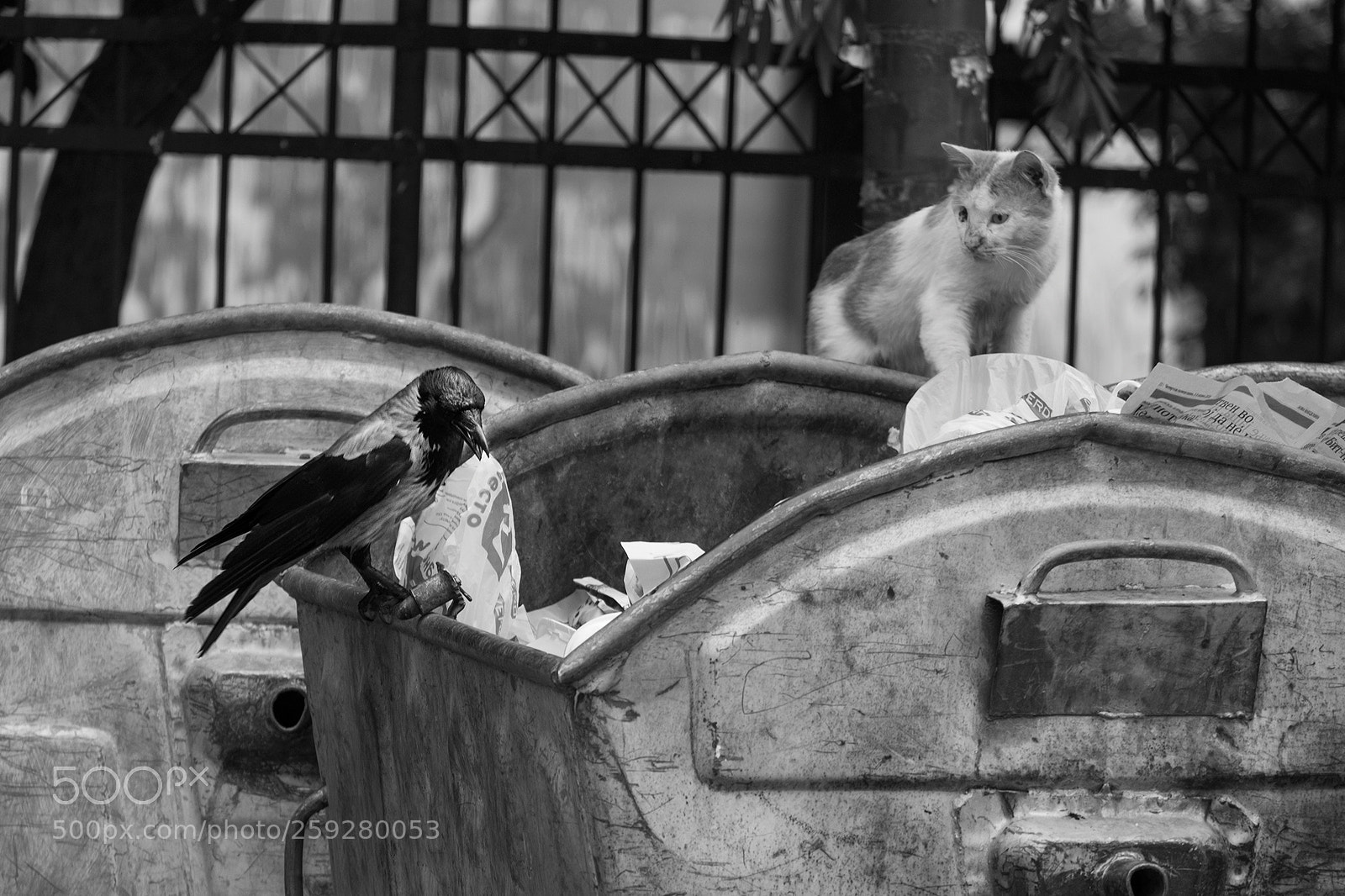 Fujifilm X-E1 sample photo. I better not photography