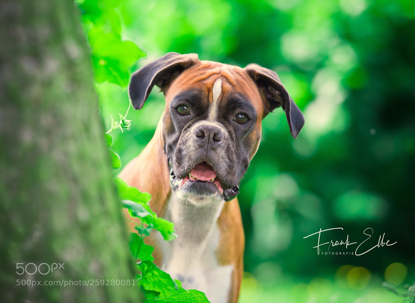 Nikon D610 sample photo. Untitled photography