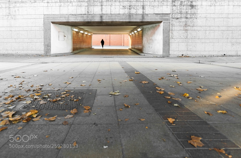 Nikon D700 sample photo. Autumn urbanism photography