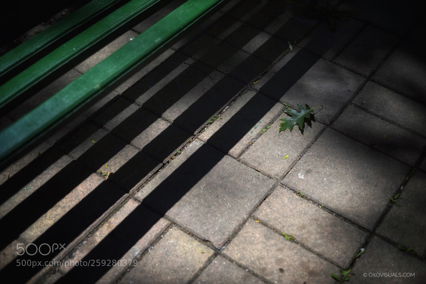 Nikon D610 sample photo. Lost & found photography