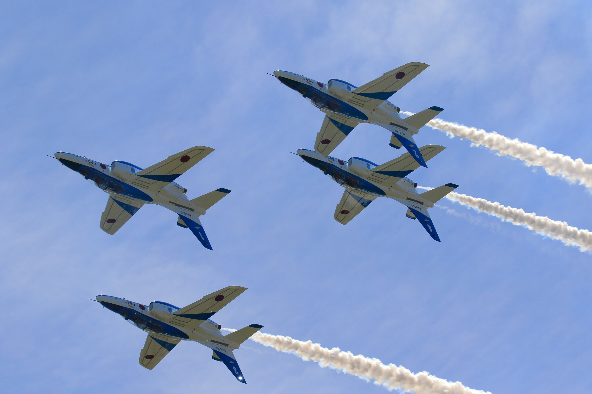 Sigma 150-600mm F5-6.3 DG OS HSM | C sample photo. Blueimpulse photography