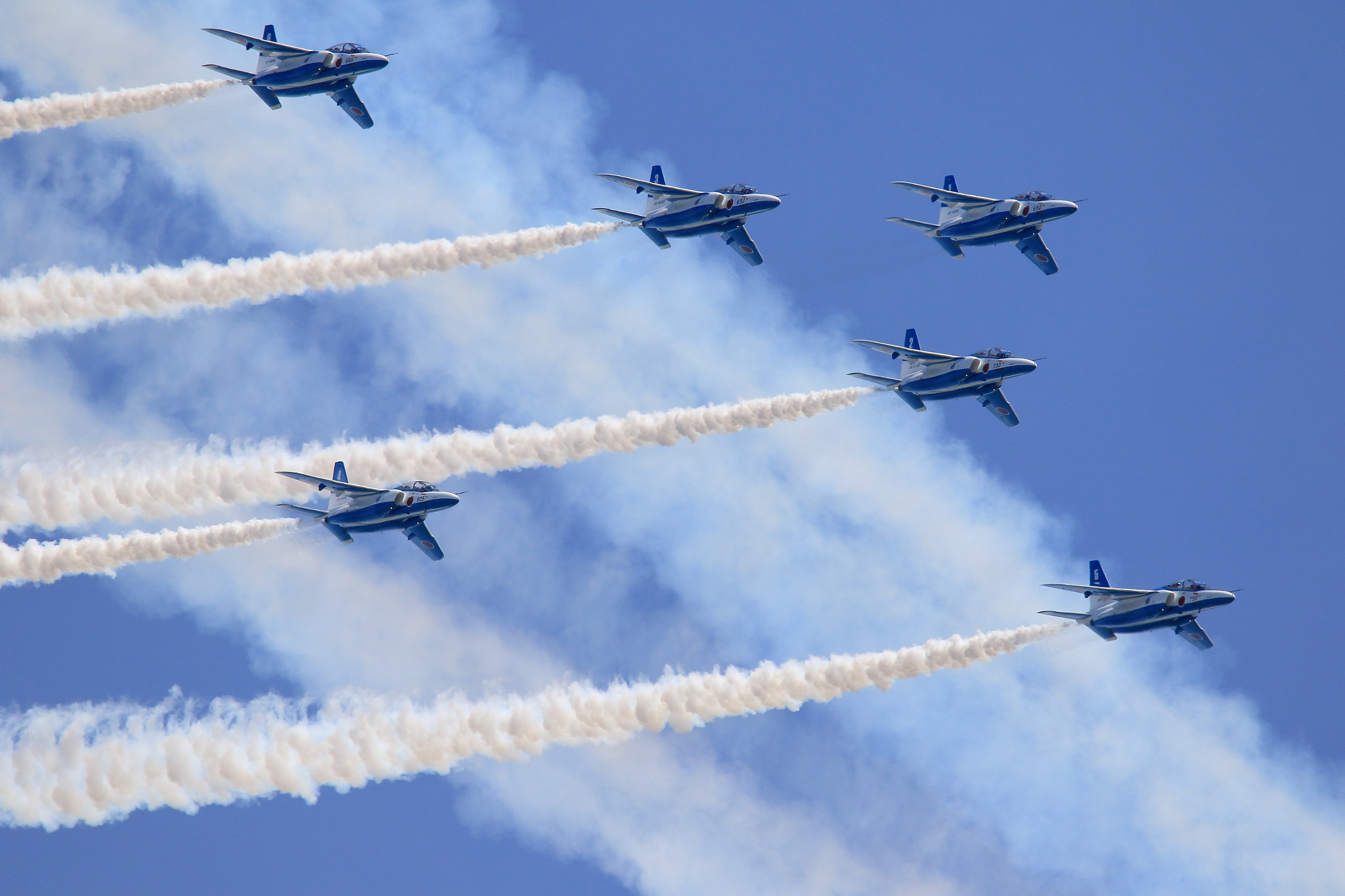 Sigma 150-600mm F5-6.3 DG OS HSM | C sample photo. Blueimpulse photography