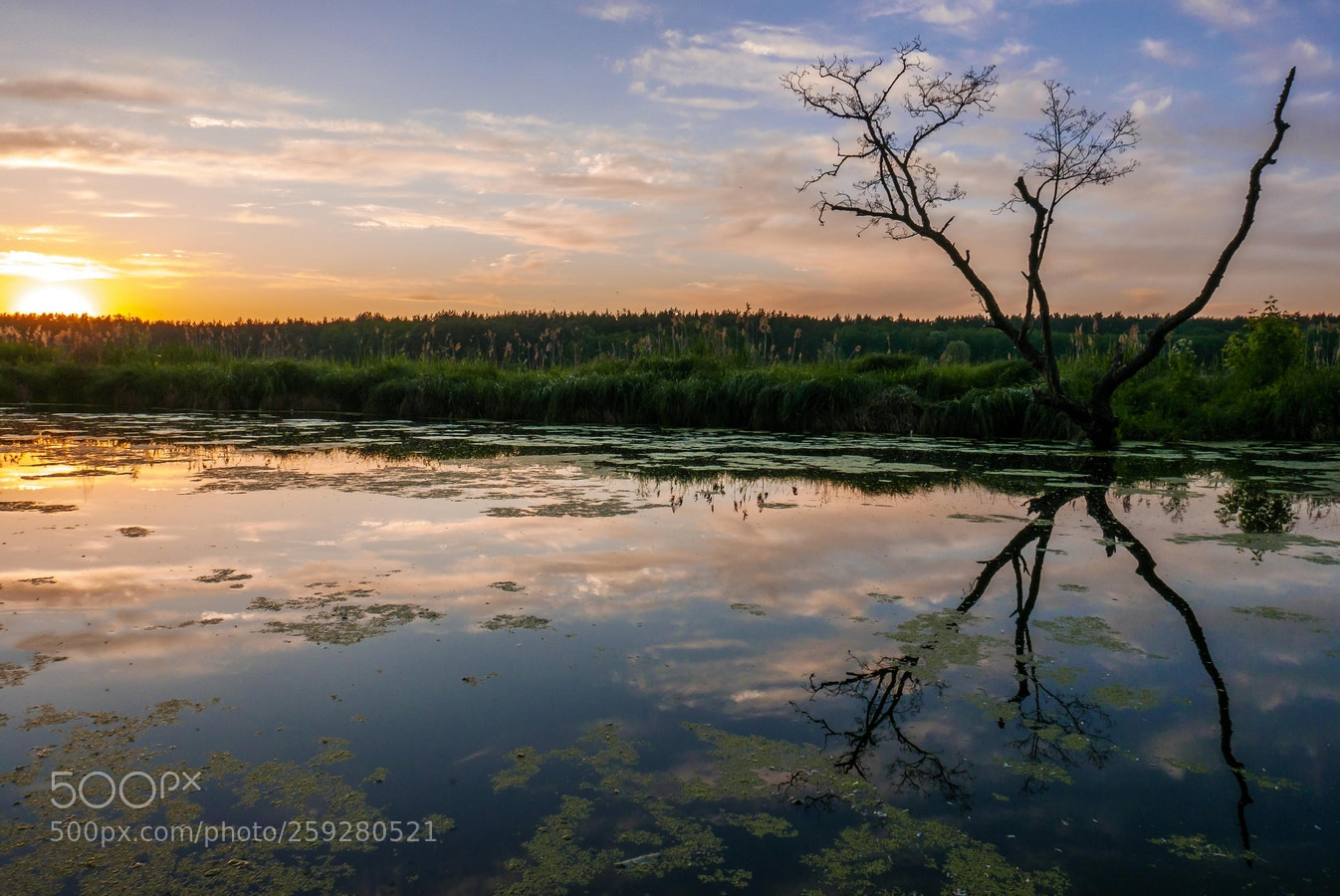 Panasonic Lumix DMC-LX100 sample photo. Sunset in reflections photography