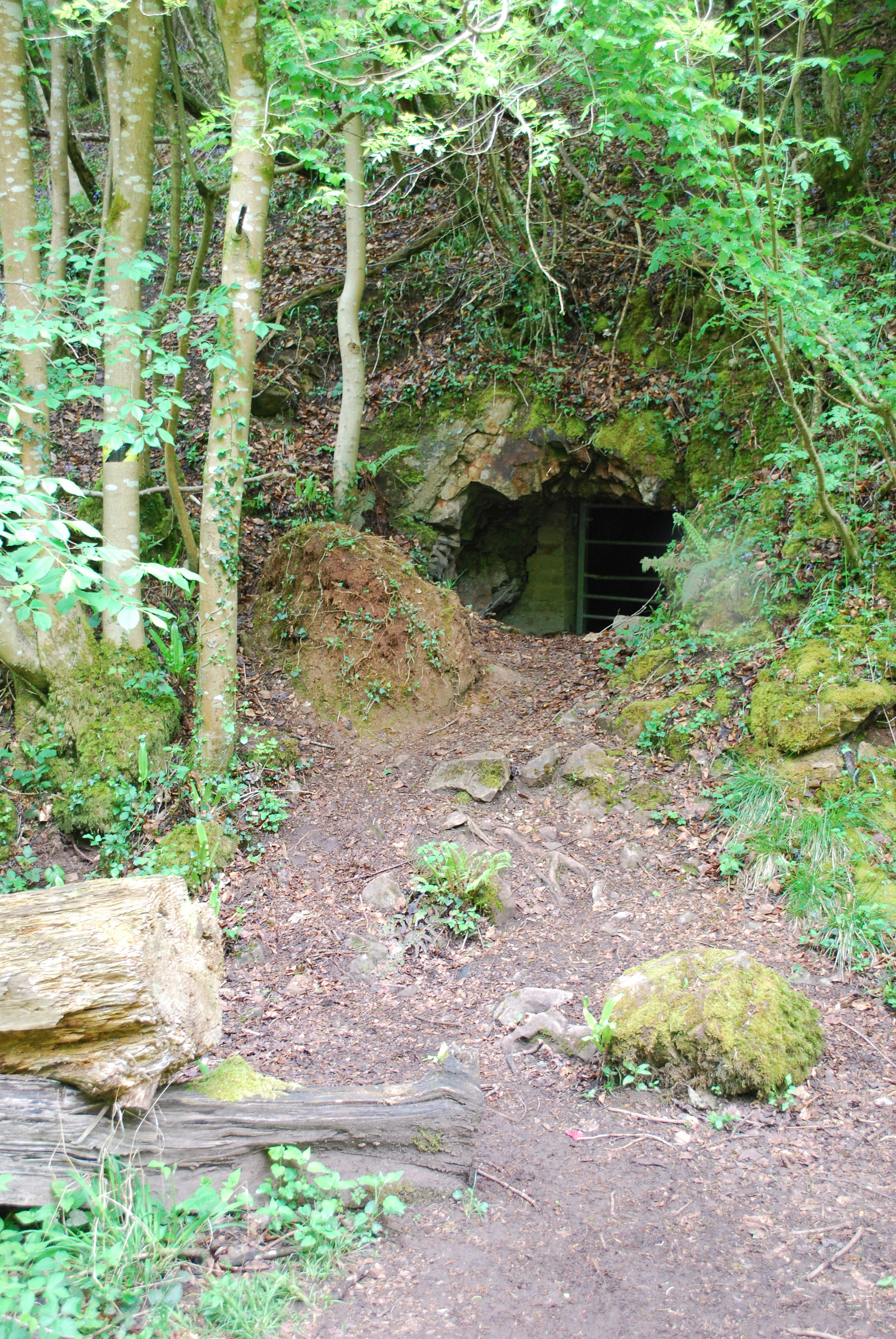 Nikon D60 sample photo. Hobbit house photography