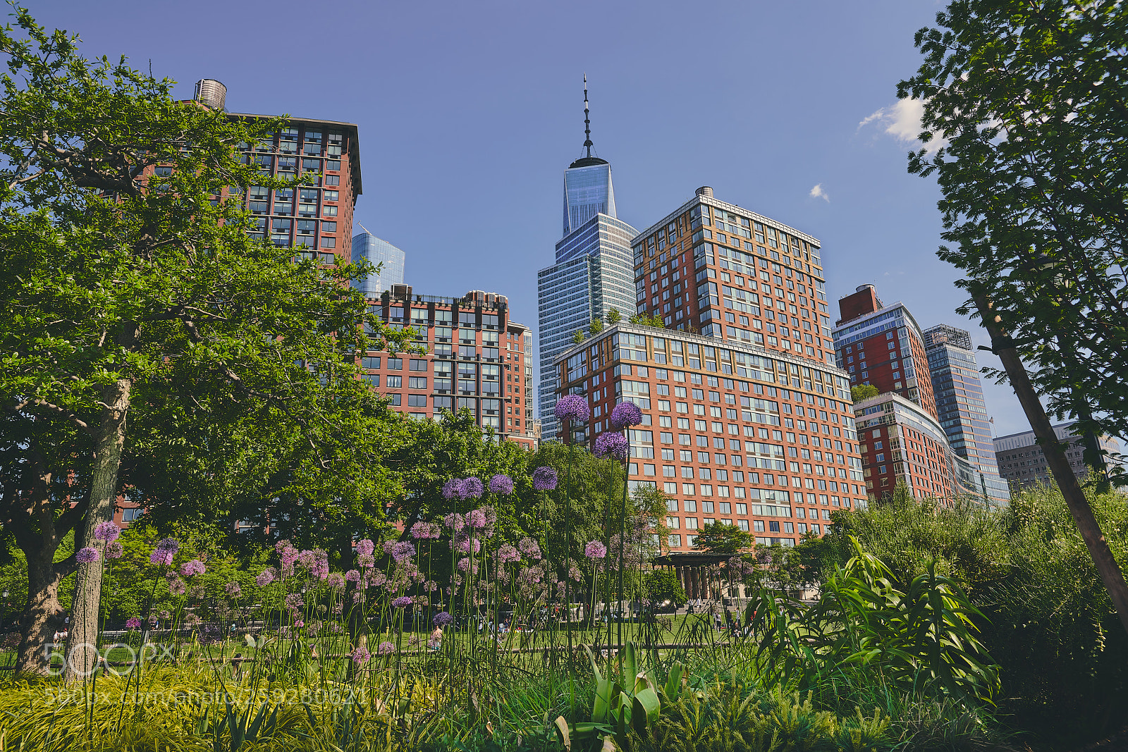 Sony a7R III sample photo. Rockefeller park photography